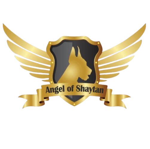 Angel of Shaytan Kennel
